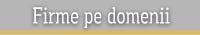 Firme pe Domenii de activitate
